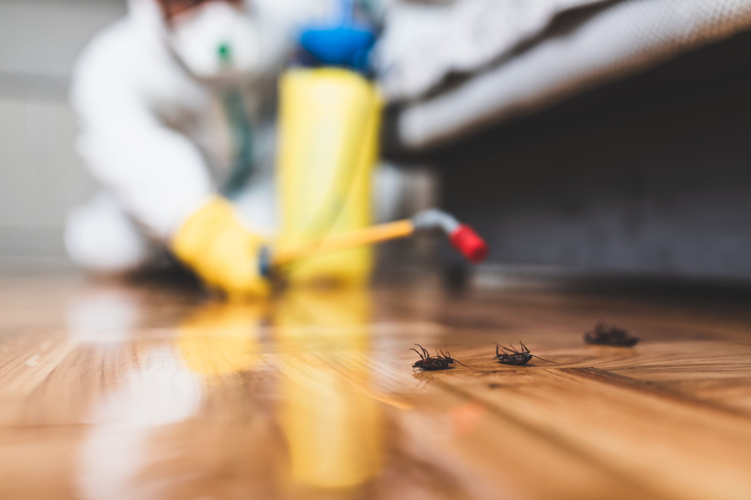 commercial pest control services in sunderland