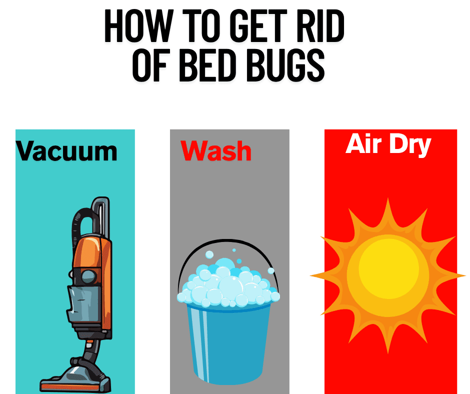 get rid of bedbugs sunderland uk