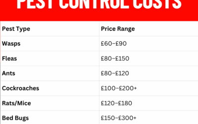 How Much Does Pest Control Cost in the UK?